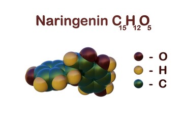 Structural chemical formula and space-filling molecular model of naringenin, a bitter tasting compound that can be found in several citrus fruits, tomatoes and other fruits. 3d illustration
