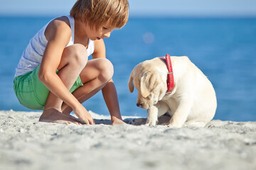 Happy boy playing with his dog on the seashore against the blue sky. Best friends have fun on vacation, play on the sand against the sea. High quality photo.
