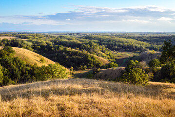 Green valley nature landscape.