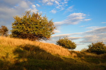 Fototapeta premium Sunset in countryside landscape.