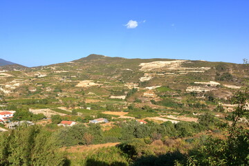 Fototapeta na wymiar Vineyards on the slopes of the Troodos Mountains near Agios Amvrosios. Sunny summer day in Cyprus.
