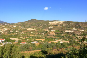 Obraz premium Vineyards on the slopes of the Troodos Mountains near Agios Amvrosios. Sunny summer day in Cyprus.