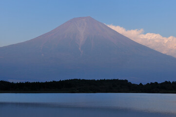 Fototapeta premium 富士山