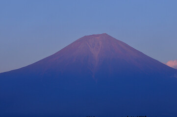 Fototapeta premium 富士山