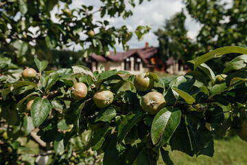 house on a rainy day