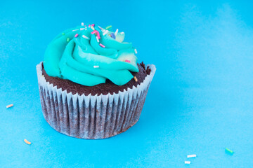 Fresh Homemade Chocolate Cupcake Decorated with colorful decoration