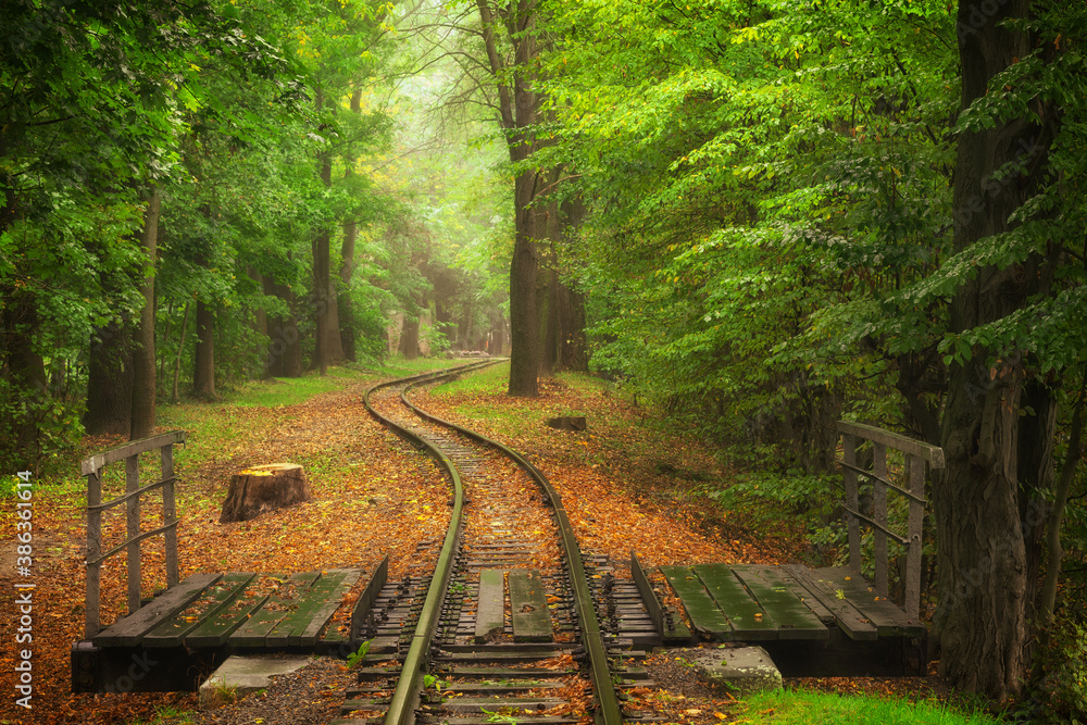 Poster Beautiful railway track in autumn in a city park