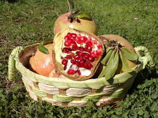 
basket with pomegranate fruits over a meadow