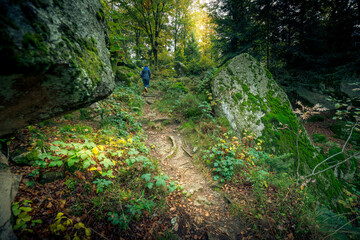 Herbstspaziergang