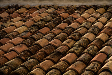 particolari di varie località nelle Marche