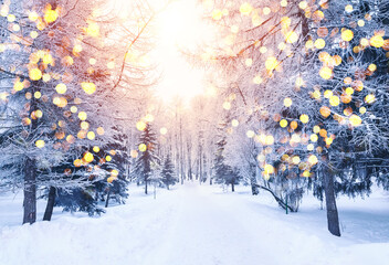Christmas winter blurred background with garland lights, holiday festive background.