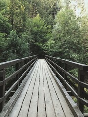 wooden bridge in the woods