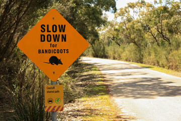Australian road sign warning to slow down for bandicoots. 