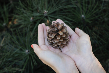 Catch bump in women's palms