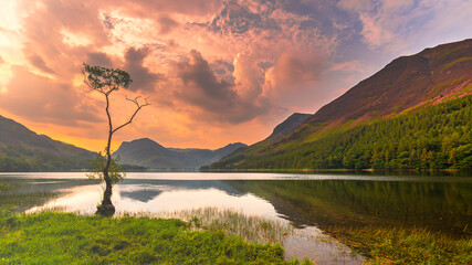 Sunrise over Buttermere lake and the lone tree.
