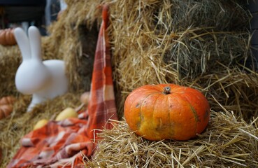 A beautiful pumpkin on the hay on the background of a white toy rabbit. Halloween. Plaid with Halloween pumpkin in the hay.