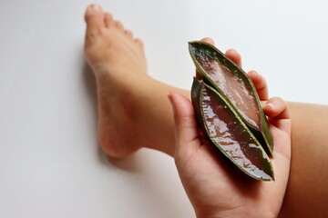 Girl holding slices of Aloe Vera leaf. Skin care concept. Hydration.