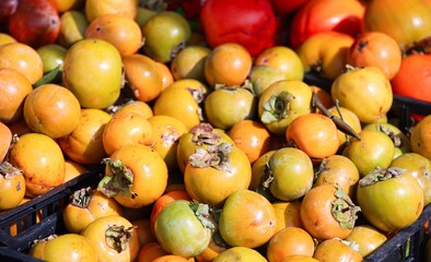 
local persimmons