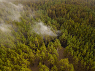 Top view of huge clouds of smoke in green forest