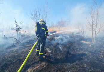 A firefighter on burnt surface extinguish a fire of dry grass and bushes with water from a hose with smoke and flames and 