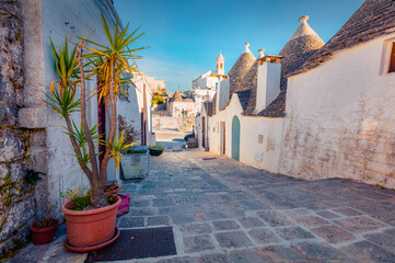 Attractive morning view of strret with trullo (trulli) -  traditional Apulian dry stone hut with a...