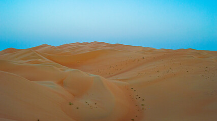 sand dunes in the desert