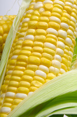 皮を剥いた完熟のｽｲｰﾄｺｰﾝ