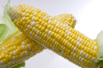 皮を剥いた完熟のｽｲｰﾄｺｰﾝ