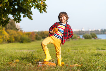 Cute boy play with pumpkin in autumn park on Halloween. Kids trick or treat. Fun in fall. Dressed up child