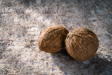 Two coconuts on a textured surface in stripes of light