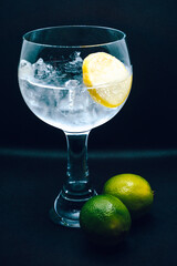 Gin and tonic cocktail with a lemon slice and limes on black background. Alcohol, drink, ice, shallow depth of field, focus.