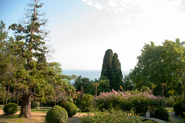 Beautiful garden with flowers and topiaries on the sea background.