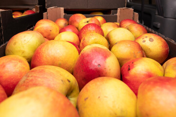 fresh apples in a box on a wooden table, top view