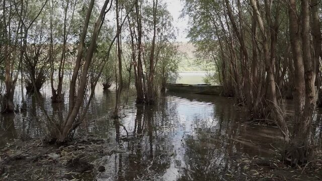 River And Old Metal Rowing Fishing Boat ancored between trees. High water.