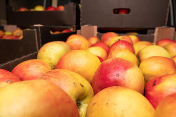 fresh apples in a box on a wooden table, top view