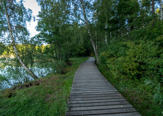 wooden footbridge through the forest, green grass and trees, light shines through the trees, summer
