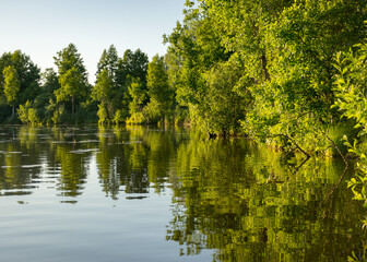 view of the green shore of the lake on a sunny summer day, reflections in the calm lake water