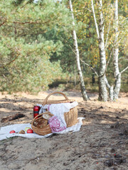 Having a picnic in the forest after mushrooming on a sunny autumn day