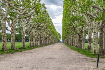 Public Park of the Observatory at terrace of the old castle of Meudon. Municipality of Meudon (in the southwestern suburbs of Paris), Hauts-de-Seine, Ile-de-France, France.