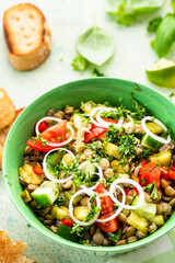 Colorful Fresh Nad Healthy Lentils Salad