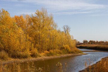 autumn landscape with river