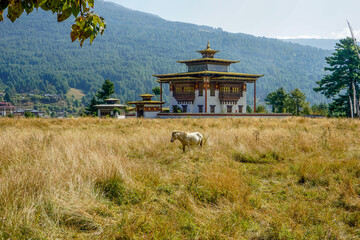 In Central Bhoutan, countryside. A small peaceful Dzong surrounded by fields and forest.