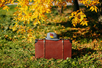 Brown vintage suitcase with felt haton it in autumn forest. Leather suitcase with hat under the tree. Autumn nature, yellow and red foliage.