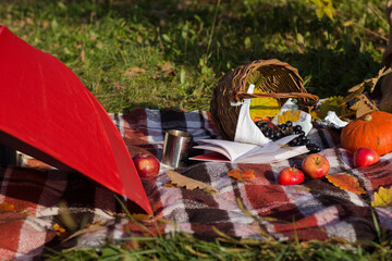 Autumn picnic. Orange pumpkin, apples, book and basket lie on the red blanket in the park. Picnic wallpaper.