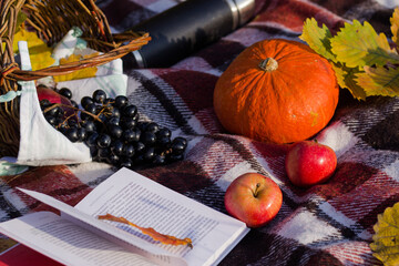 Autumn picnic. Orange pumpkin, apples, book and basket lie on the red blanket in the park. Picnic wallpaper.