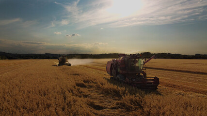 Naklejka premium tractor in field