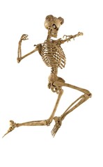 Skeleton in action pose
