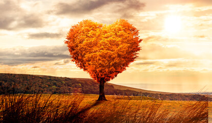 Obraz na płótnie Canvas Baum in Herzform in einer surrealen Landschaft bei Sonnenuntergang