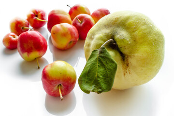 ripe apples and quince close up on a white background