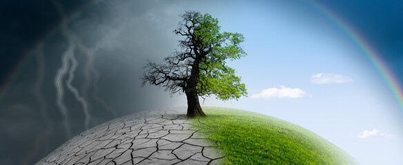 Baum auf einer Weltkugel im Klimawandel